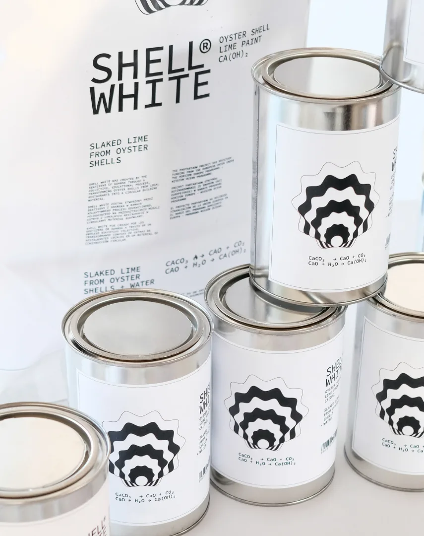 Pojemniki farby Shell White wykonanej z muszli ostryg